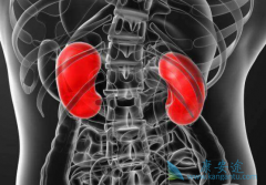 ��������(SUNINAT)��Ϊ��Σ�������ߴ������������