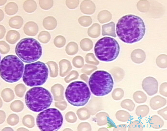 利妥昔单抗 利妥昔单抗