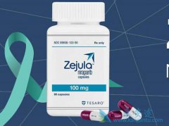 PARP���Ƽ������������Ʋ���ҩ�ѳ������ߵ�Ч����Σ�