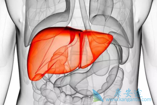 丙型肝炎的传播途径 丙型肝炎的传播途径