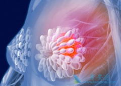 �����鵥��(pertuzumab)���������ٰ���������Щ���ã�