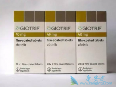 ��������(Afatinib)������ϸ����������ϸ�ȫ��־�