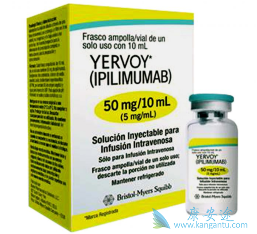 ��ƥľ����