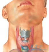 �����ļ�״������֢״����Щ�����Լ�״�������ᰩ����