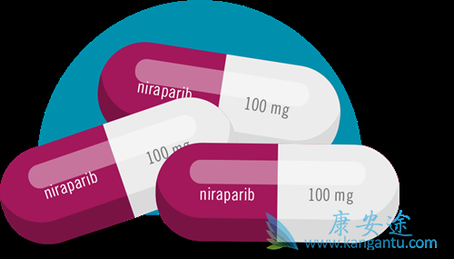 尼拉帕尼 尼拉帕尼