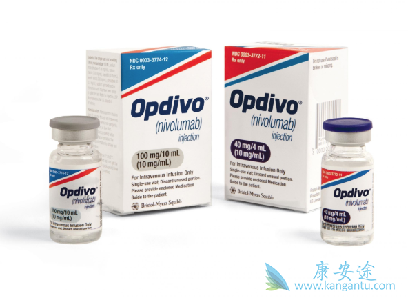 纳武单抗 纳武单抗