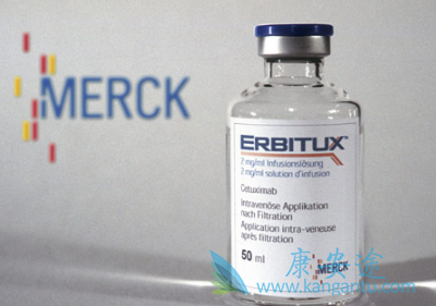 西妥昔单抗 西妥昔单抗