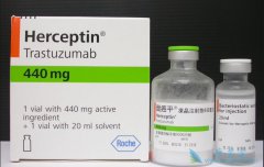 �������ٰ����߷��ú���͡(Herceptin)ͬ������ȡ�úܺ���Ч