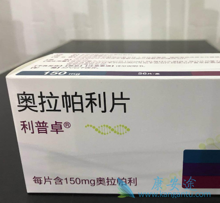 PARP抑制剂 PARP抑制剂