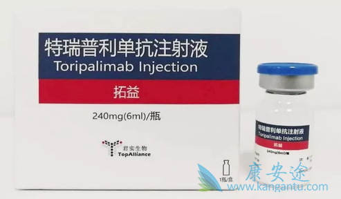 特瑞普利单抗 特瑞普利单抗