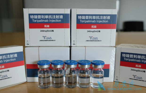 特瑞普利单抗 特瑞普利单抗