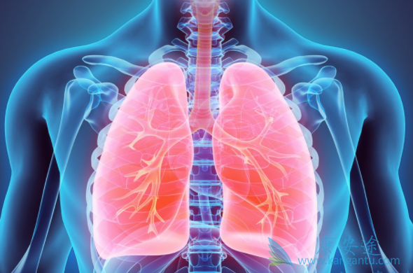 达克替尼 达克替尼