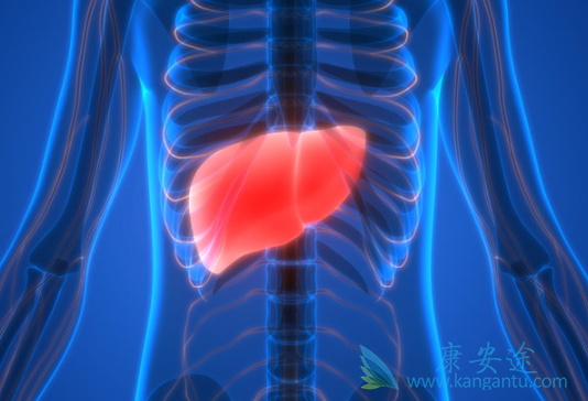 雷莫卢单抗 雷莫卢单抗