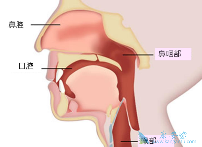 鼻咽癌治疗 鼻咽癌治疗