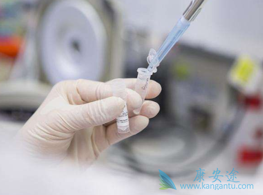 白血病治疗 白血病治疗