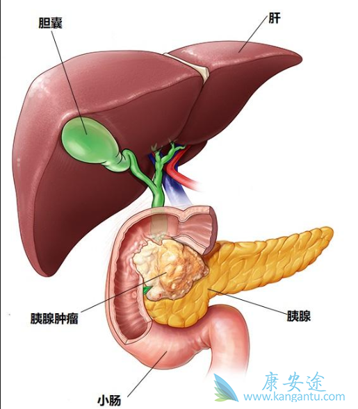 1547108215109851.png 1547108215109851.png