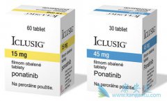 ��������Բ�ͬ�׶�CML��Ph+ALL���ߵİ�ȫ�Ժ���Ч����