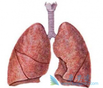 ����ά���ܻ��ã�����᲼����ת����ά����