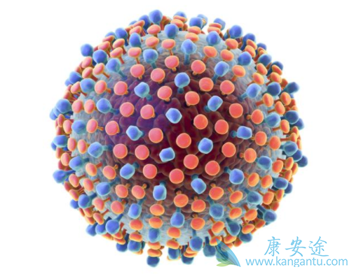 丙肝病毒 丙肝病毒