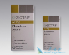 ��������(AFATINIB)ÿ����ҩ������Ϊ40mg��ĺ�����ȫ��