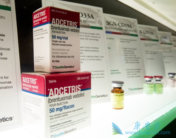 本妥昔单抗 本妥昔单抗