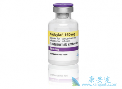 T-DM1��������ΪHER2�������ٰ��Ķ�����ҩ����������������