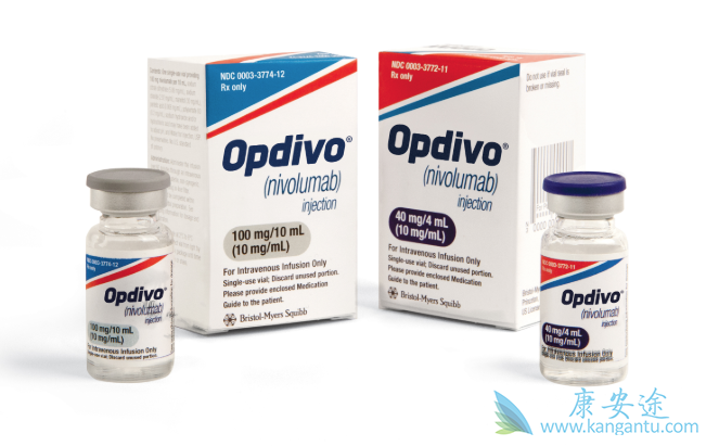 PD-L1表达 PD-L1表达