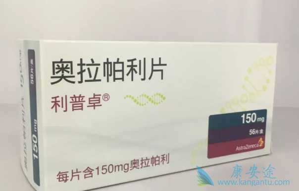 PARP抑制剂 PARP抑制剂