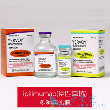 伊匹单抗 伊匹单抗
