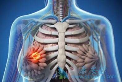 帕妥珠单抗 帕妥珠单抗