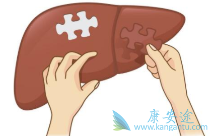 乙肝携带者症状 乙肝携带者症状