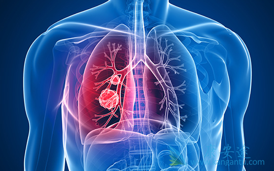 达克替尼 达克替尼