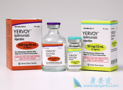 CTLA4抗体 CTLA4抗体