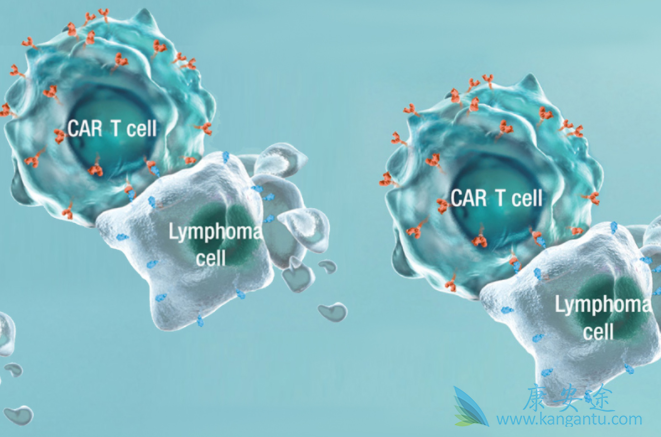 CAR-T CAR-T