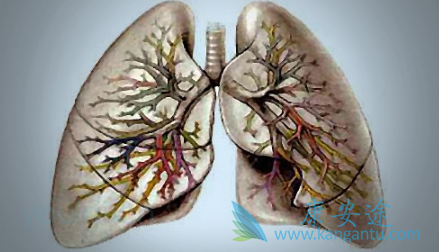 肺纤维化 肺纤维化