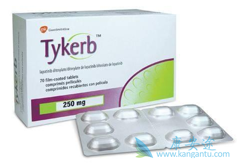 拉帕替尼 拉帕替尼