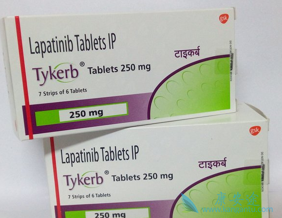 拉帕替尼 拉帕替尼