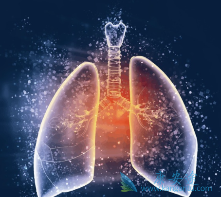 小细胞肺癌 小细胞肺癌