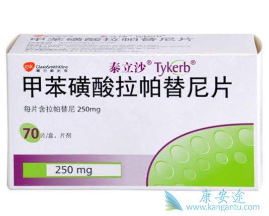 拉帕替尼 拉帕替尼