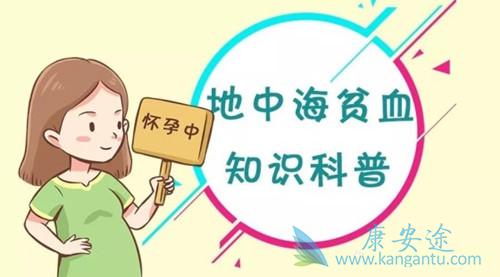 地中海贫血 地中海贫血