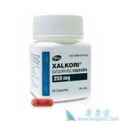 ��ŷ����Ⱥ���������Զ���ROS-1����NSCLC���߾��������ٴ�����