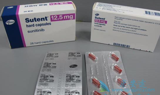 舒尼替尼 舒尼替尼