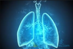 ��������Ͷ��������ĸ��������ڷ��۰��Լ۱ȸ��ߣ�