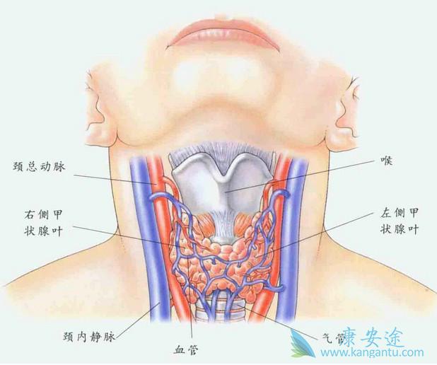 甲状腺瘤 甲状腺瘤