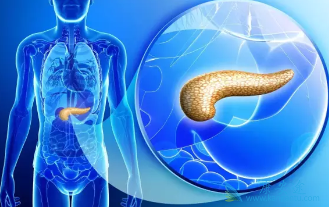 胰腺癌治疗 胰腺癌治疗