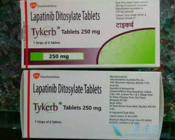 拉帕替尼 拉帕替尼