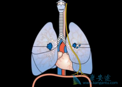 ��������/�����������ȫ���������û����Բ�������Ч