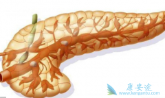 ��³����ʧ�ܺ����ٰ����ƻ�����Щ�ڴ���