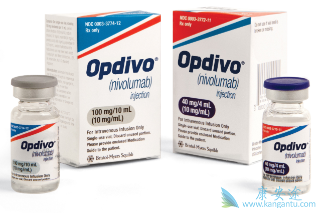 纳武单抗 纳武单抗