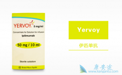 ��ƥľ����(Yervoy)���ƺ�ɫ��������ҩ��������������